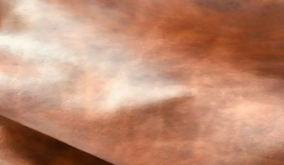 MAGNUM · Leather for leather goods, belts, and footwear